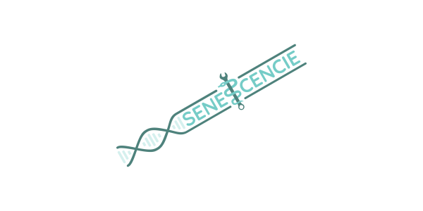 SenescenCie 2025-2026